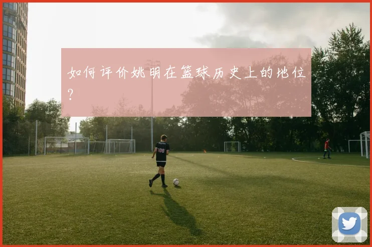 如何评价姚明在篮球历史上的地位?