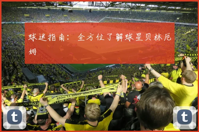 球迷指南:全方位了解球星贝林厄姆